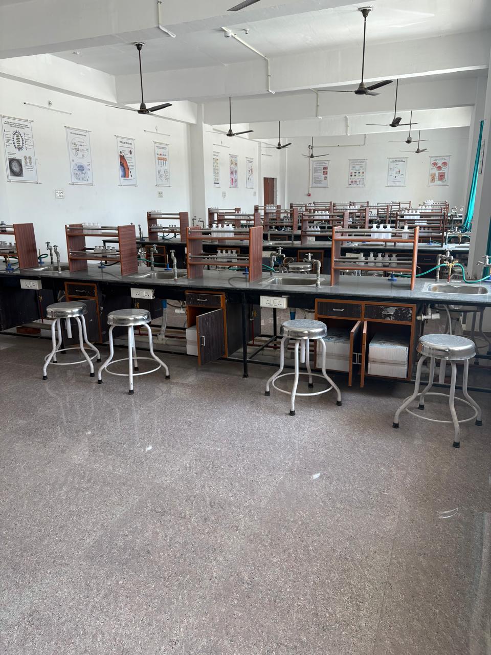 Department of Biochemistry